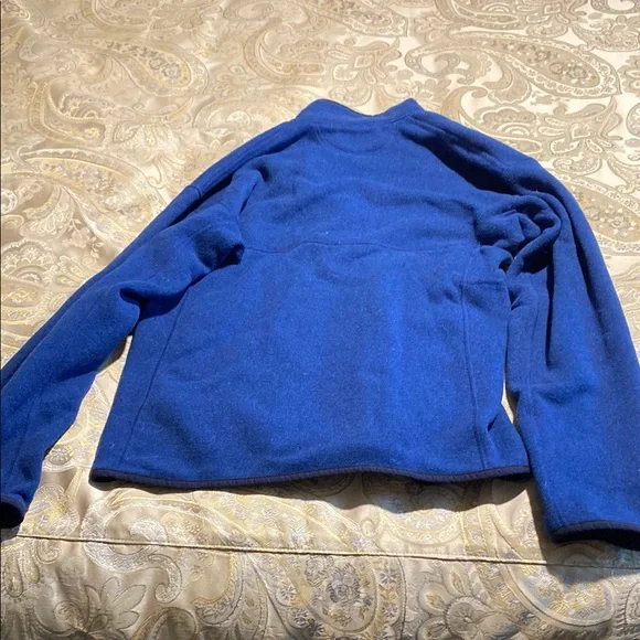 Patagonia Blue Fleece Pullover